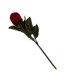 ❤️🎁Romantic Valentine’s Day Red Rose Green Leaves Flower Stem RING BOX Holder